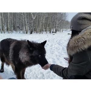 Meet your Posher, Janet